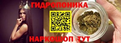 прущие грибы Тверь