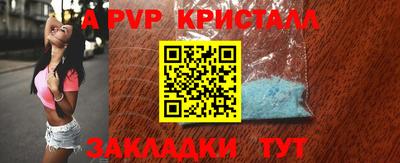 прущие грибы Тверь